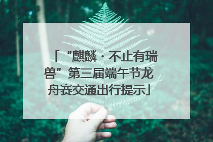“麒麟・不止有瑞兽”第三届端午节龙舟赛交通出行提示